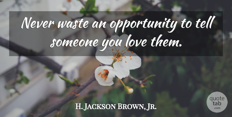 H. Jackson Brown, Jr. Quote About Best Love, Opportunity, Someone You Love: Never Waste An Opportunity To...