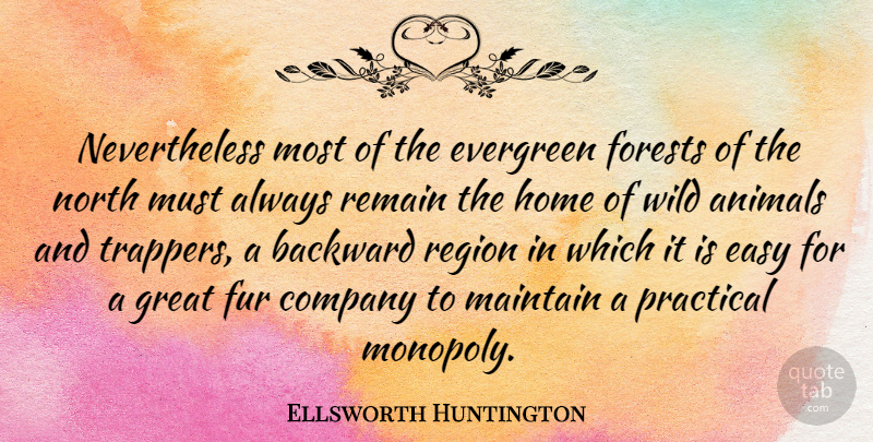 Ellsworth Huntington Quote About Home, Science, Animal: Nevertheless Most Of The Evergreen...