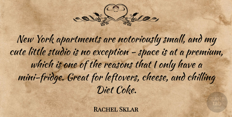 Rachel Sklar Quote About Apartments, Chilling, Diet, Exception, Great: New York Apartments Are Notoriously...