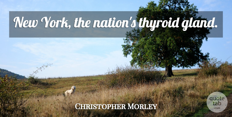 Christopher Morley Quote About New York, Cities, Literature: New York The Nations Thyroid...