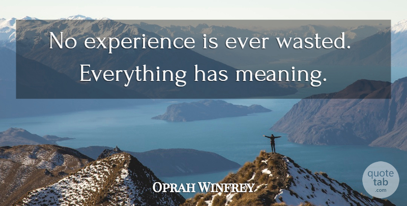Oprah Winfrey Quote About Life: No Experience Is Ever Wasted...