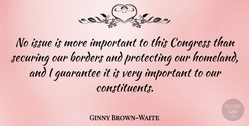 Ginny Brown-Waite Quote About Aggravation, Issues, Important: No Issue Is More Important...