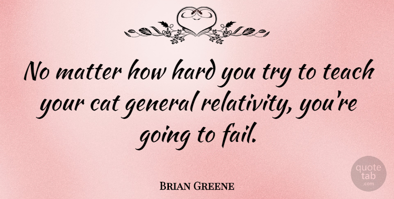 Brian Greene Quote About Cat, Trying, Matter: No Matter How Hard You...