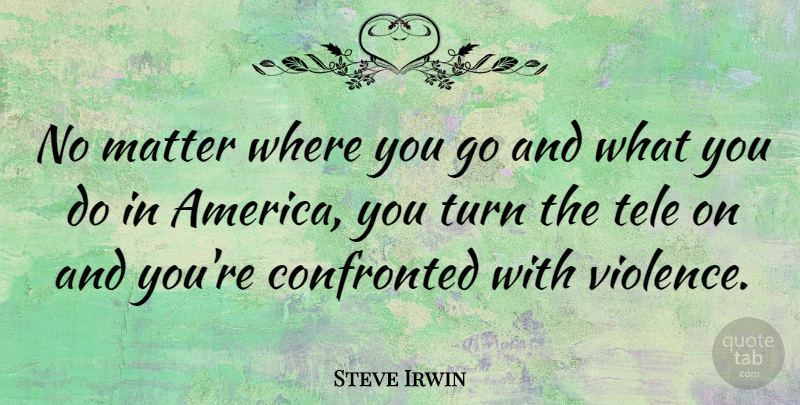 Steve Irwin Quote About America, Violence, Matter: No Matter Where You Go...