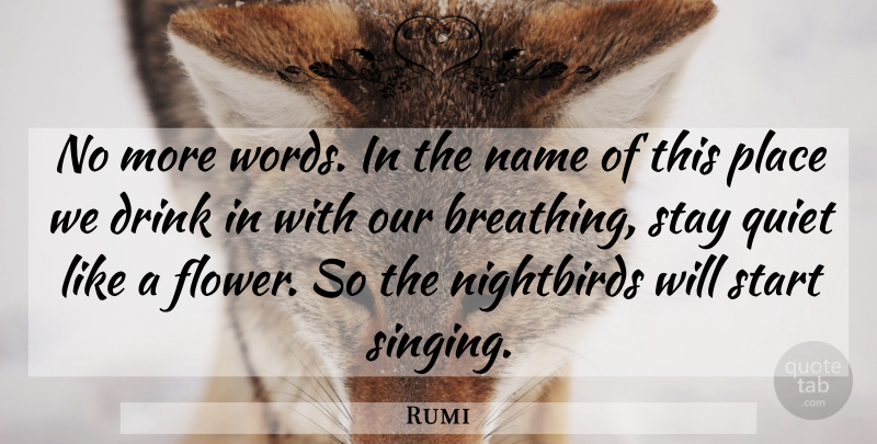 Rumi Quote About Flower, Breathing, Names: No More Words In The...
