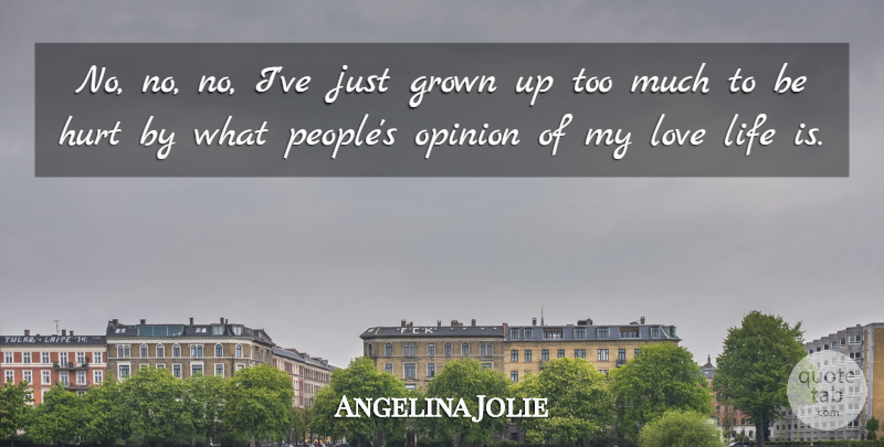 Angelina Jolie Quote About Hurt, Love Life, People: No No No Ive Just...