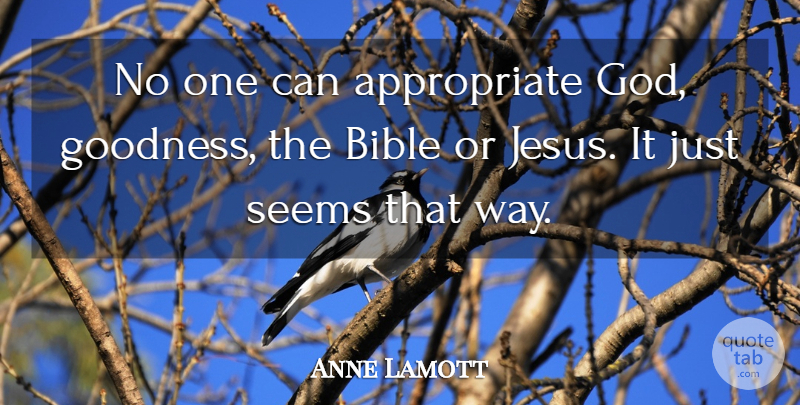 Anne Lamott Quote About Jesus, Way, Goodness: No One Can Appropriate God...