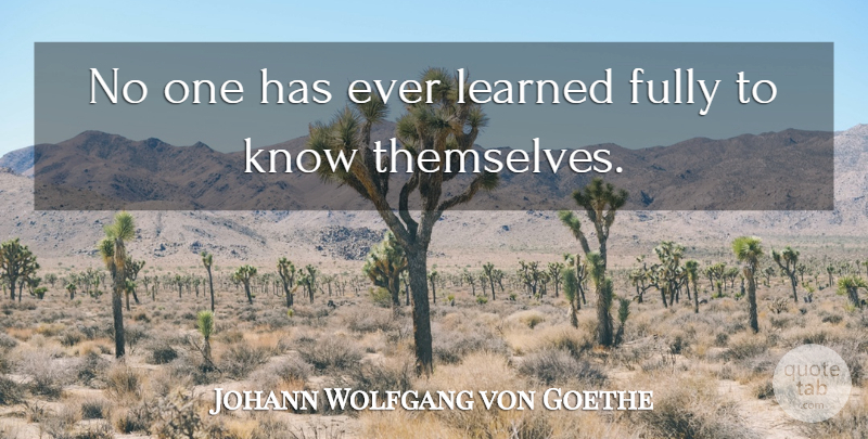 Johann Wolfgang von Goethe Quote About Learning, Literature, Knows: No One Has Ever Learned...