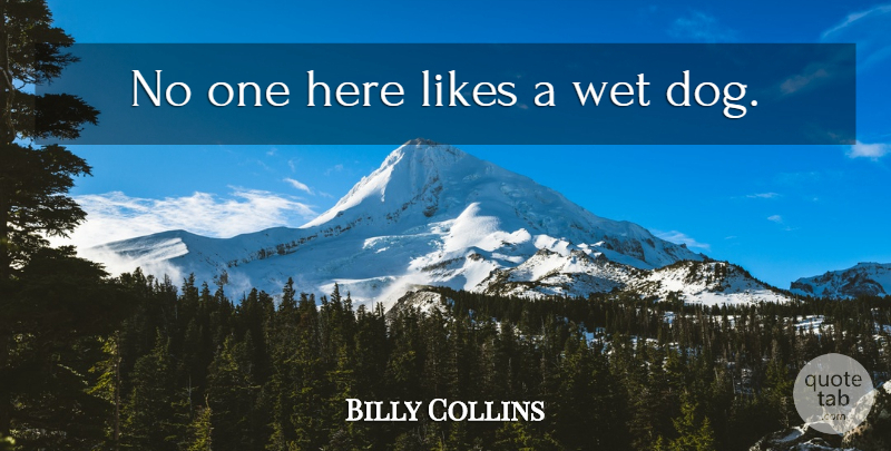 Billy Collins Quote About Dog, Likes, Wet Dogs: No One Here Likes A...