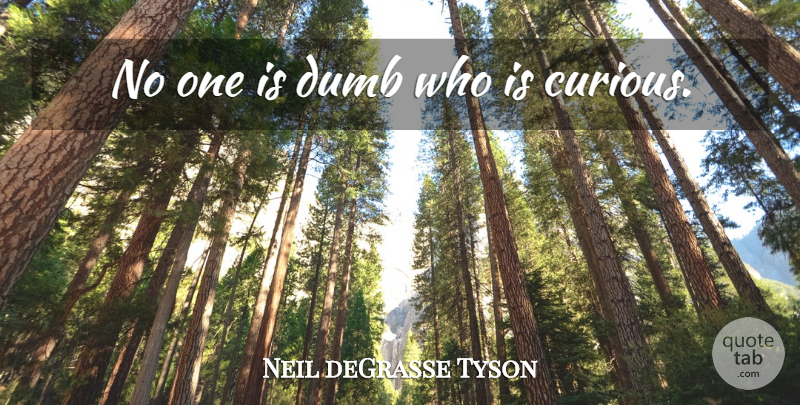 Neil deGrasse Tyson Quote About Dumb, Curious: No One Is Dumb Who...