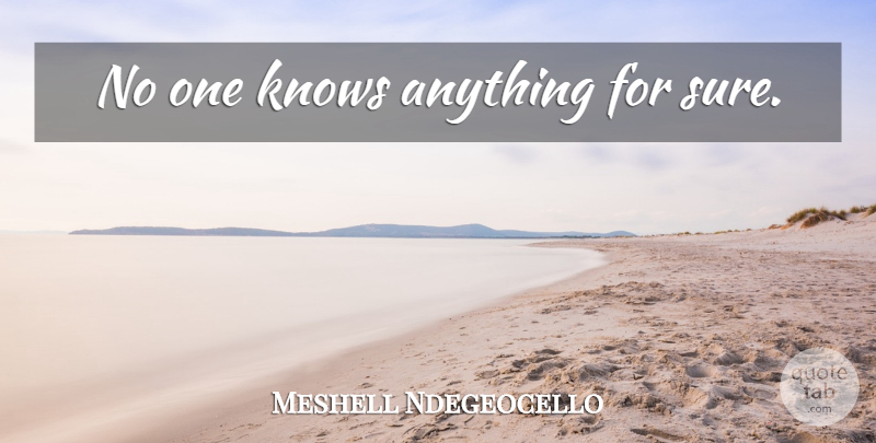Meshell Ndegeocello Quote About Knows: No One Knows Anything For...