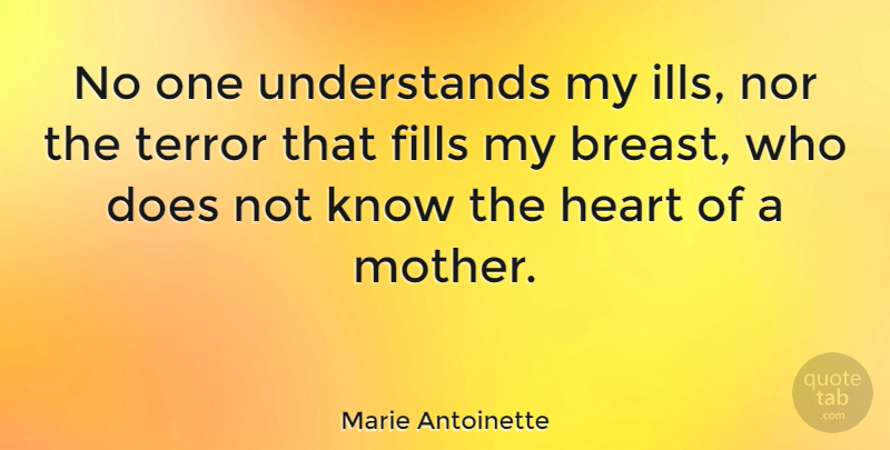 Marie Antoinette Quote About Mother, Heart, Doe: No One Understands My Ills...