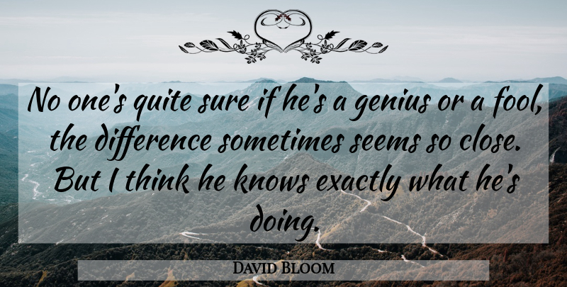 David Bloom Quote About Difference, Exactly, Fools And Foolishness, Genius, Knows: No Ones Quite Sure If...