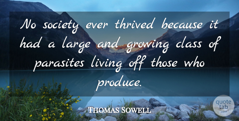 Thomas Sowell Quote About Class, Growing, Parasites: No Society Ever Thrived Because...