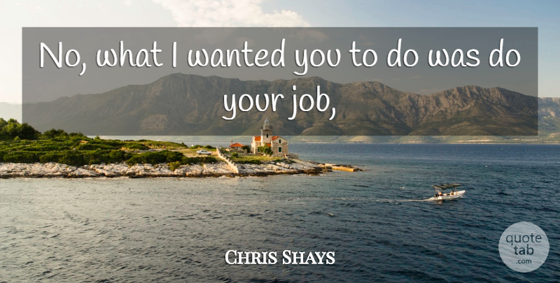 Chris Shays Quote About Job: No What I Wanted You...