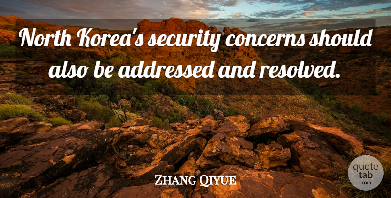 Zhang Qiyue Quote About Concerns, North, Security: North Koreas Security Concerns Should...