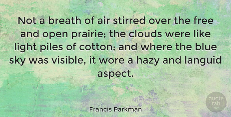 Francis Parkman Quote About Light, Air, Blue: Not A Breath Of Air...