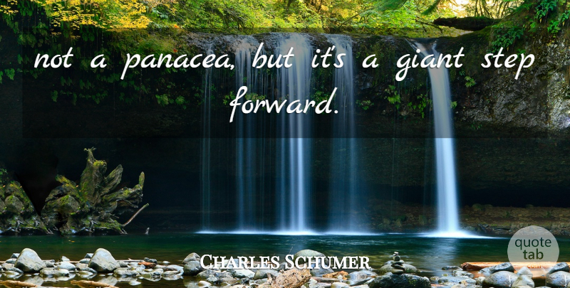 Charles Schumer Quote About Giant, Step: Not A Panacea But Its...