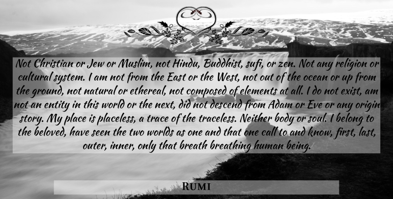 Rumi Quote About Christian, Buddhist, Ocean: Not Christian Or Jew Or...