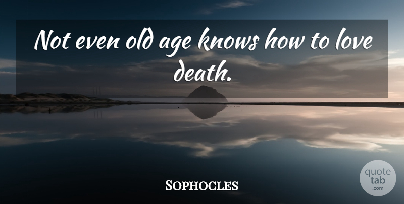 Sophocles Quote About Birthday, Age, How To Love: Not Even Old Age Knows...