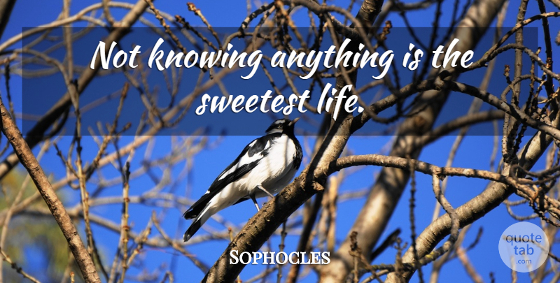 Sophocles Quote About Thinking, Knowing, Not Knowing: Not Knowing Anything Is The...
