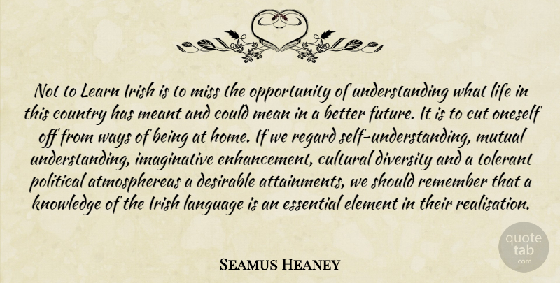 Seamus Heaney Quote About Country, Mean, Home: Not To Learn Irish Is...
