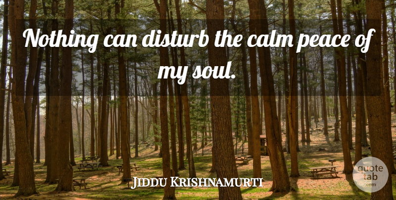 Jiddu Krishnamurti Quote About Soul, Calm, My Soul: Nothing Can Disturb The Calm...
