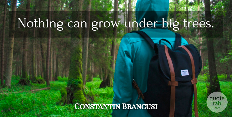 Constantin Brancusi Quote About Tree, Bigs, Grows: Nothing Can Grow Under Big...
