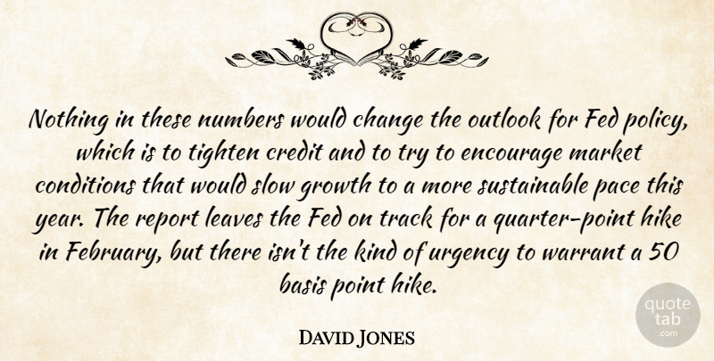 David Jones Quote About Basis, Change, Conditions, Credit, Encourage: Nothing In These Numbers Would...
