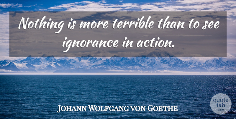 Johann Wolfgang von Goethe Quote About Ignorance, Ignorant, Statistics: Nothing Is More Terrible Than...