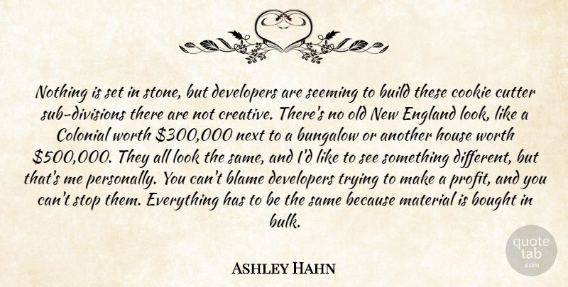 Ashley Hahn Quote About Blame, Bought, Build, Colonial, Cookie: Nothing Is Set In Stone...