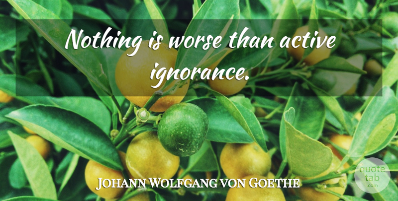 Johann Wolfgang von Goethe Quote About Ignorance, Justice, Social Justice: Nothing Is Worse Than Active...