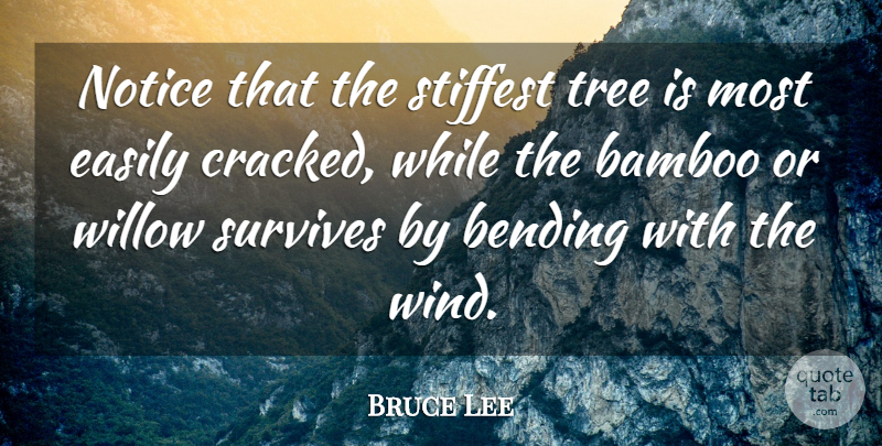 Bruce Lee Quote About Change, Success, Moving On: Notice That The Stiffest Tree...