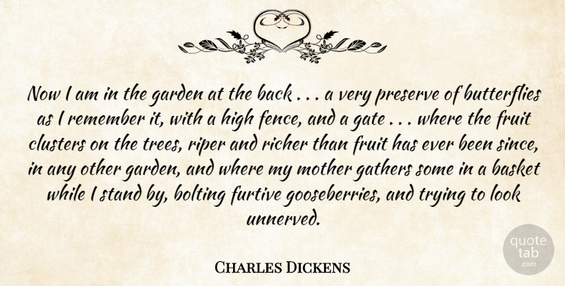 Charles Dickens Quote About Mother, Butterfly, Garden: Now I Am In The...