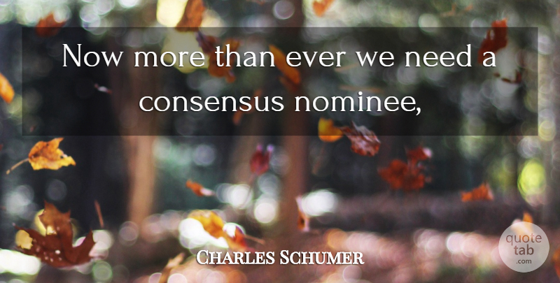 Charles Schumer Quote About Consensus: Now More Than Ever We...