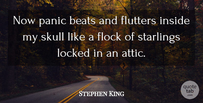 Stephen King Quote About Skulls, Anxiety, Panic: Now Panic Beats And Flutters...