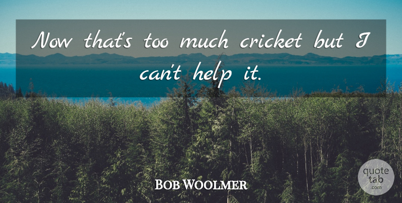 Bob Woolmer Quote About Cricket, Help: Now Thats Too Much Cricket...
