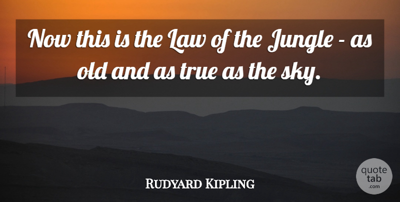 Rudyard Kipling Quote About Jungle, Law, True: Now This Is The Law...