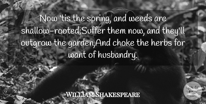 William Shakespeare Quote About Choke, Herbs, Outgrow, Weeds: Now Tis The Spring And...