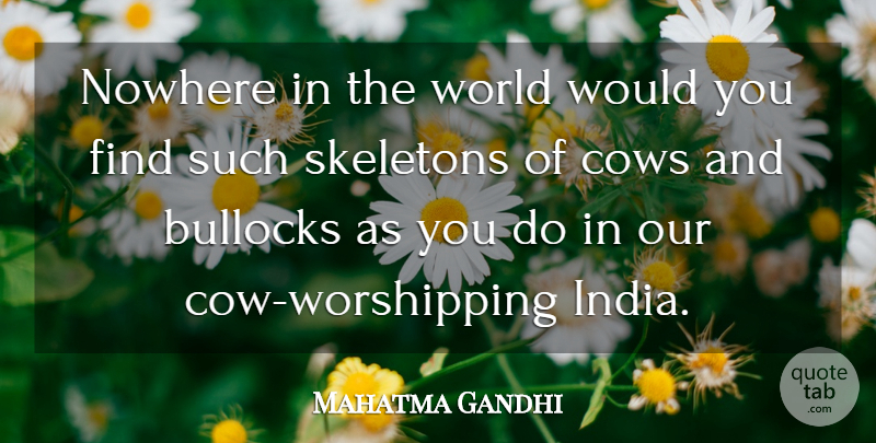 Mahatma Gandhi Quote About Skeletons, World, Cows: Nowhere In The World Would...