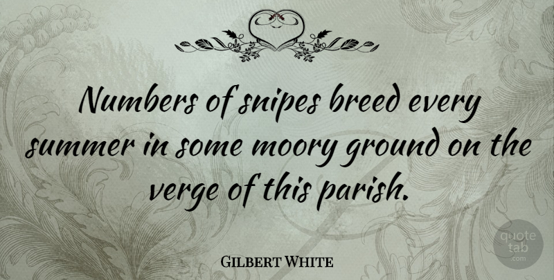 Gilbert White Quote About Breed, English Scientist, Verge: Numbers Of Snipes Breed Every...
