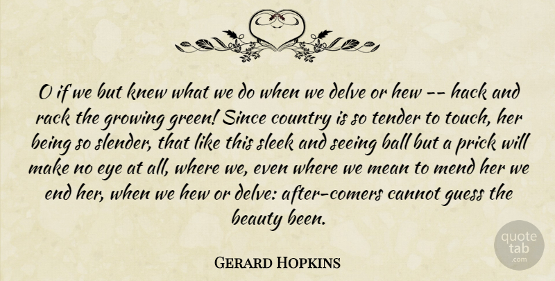 Gerard Hopkins Quote About Ball, Beauty, Cannot, Country, Eye: O If We But Knew...
