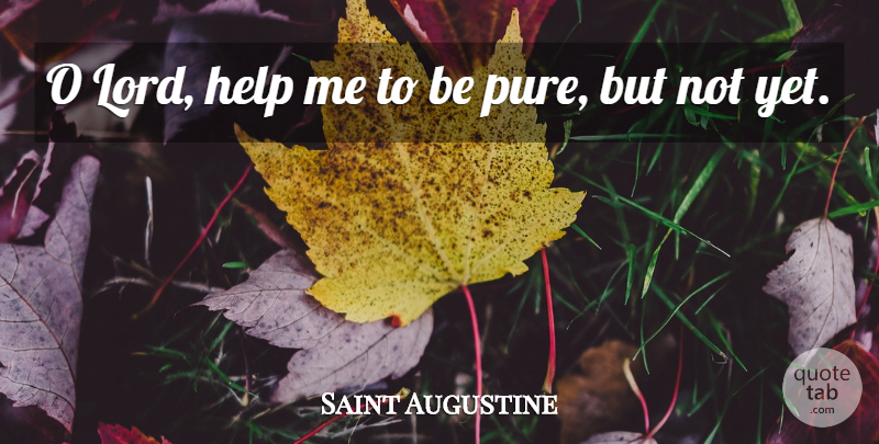 Saint Augustine Quote About Funny, Witty, Humorous: O Lord Help Me To...