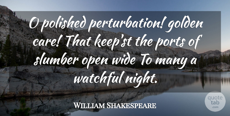 William Shakespeare Quote About Night, Insomnia, Care: O Polished Perturbation Golden Care...