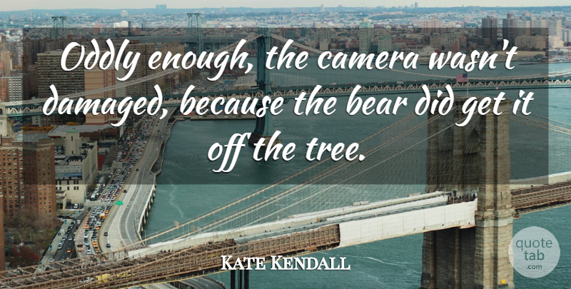 Kate Kendall Quote About Bear, Camera, Oddly: Oddly Enough The Camera Wasnt...