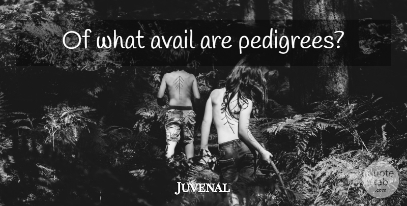 Juvenal Quote About Pedigree: Of What Avail Are Pedigrees...