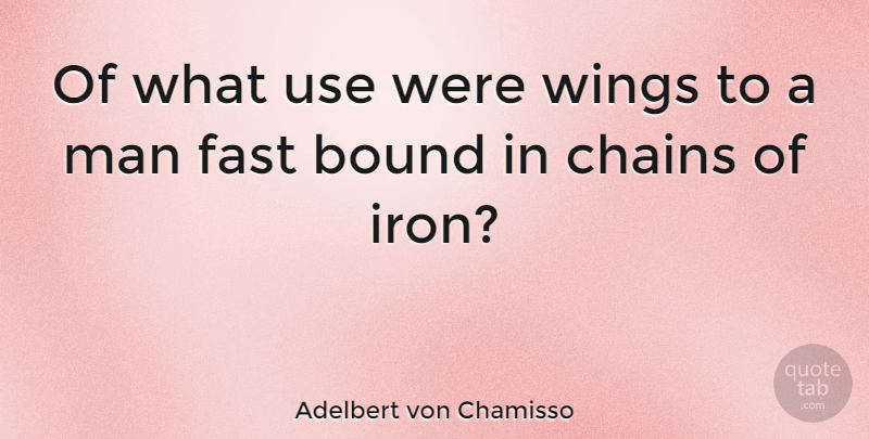 Adelbert von Chamisso Quote About Men, Wings, Iron: Of What Use Were Wings...