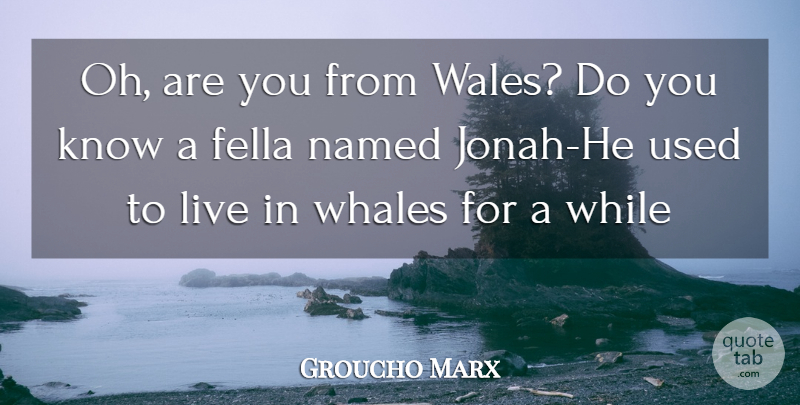 Groucho Marx Quote About Inspiration, Whales, Wales: Oh Are You From Wales...