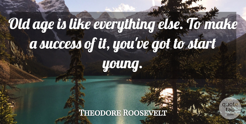 Theodore Roosevelt Quote About Happy Birthday, Funny Birthday, Congratulations: Old Age Is Like Everything...