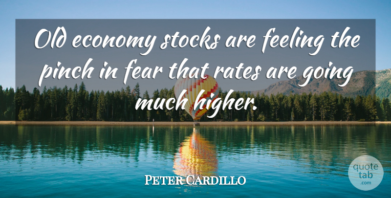 Peter Cardillo Quote About Economy, Fear, Feeling, Pinch, Rates: Old Economy Stocks Are Feeling...